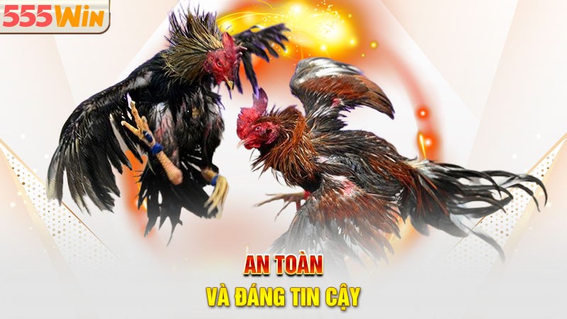 Đá gà 555win cam kết cung cấp một môi trường chơi game an toàn và bảo mật Đá gà 555win cam kết cung cấp một môi trường chơi game an toàn và bảo mật